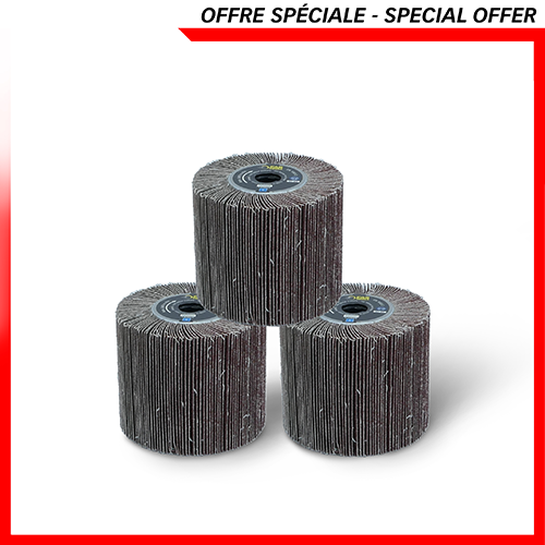 3 brosses à lamelles grain 80 -> REX120/200