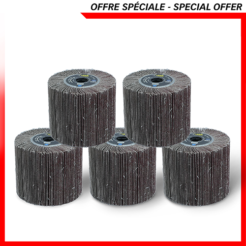 5 brosses à lamelles grain 80 -> REX120/200