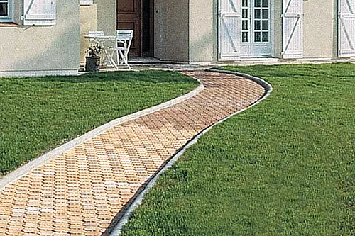 REX 120D + transport bag + foldable pole + 3 brushes