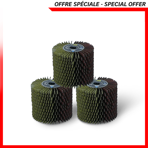 3 brosses à lanières grain 36 -> REX120/200