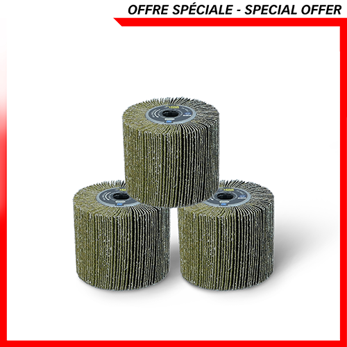 3 brosses à lamelles grain 36 -> REX120/200