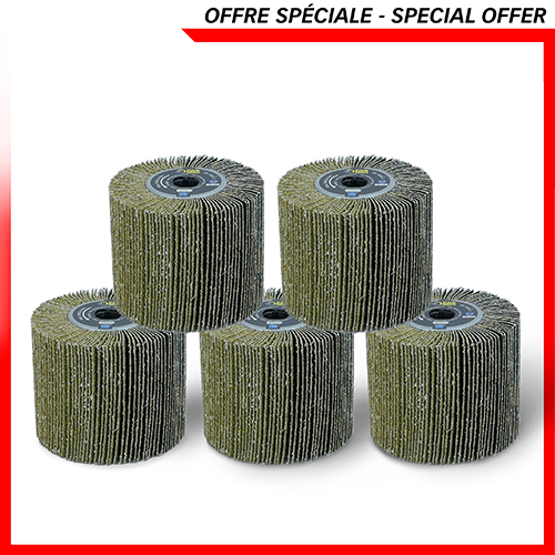 5 brosses à lamelles grain 36 -> REX120/200