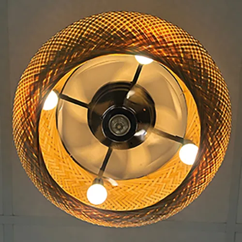 Ceiling fan