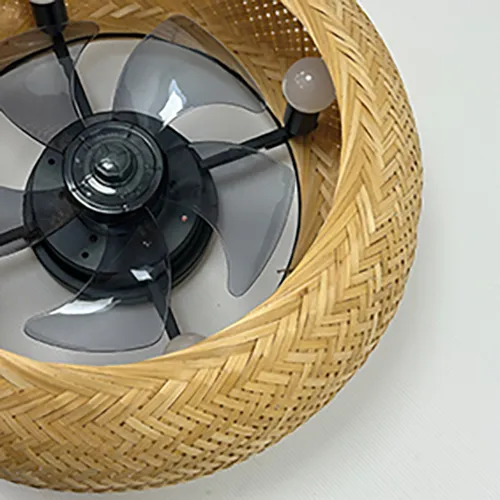 Ceiling fan