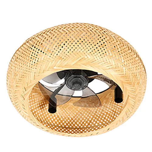Ceiling fan