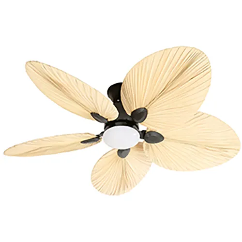 Ventilateur de plafond avec éclairage LED