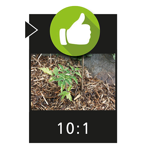 Broyeur de végétaux