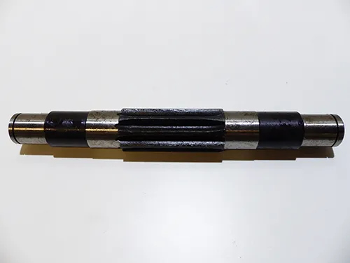 982144 - ARBRE PIGNON